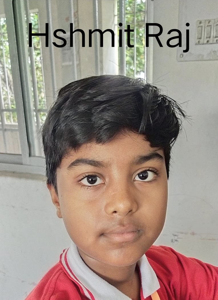 Ashmit Raj