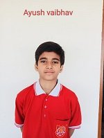 Ayush Vaibhav
